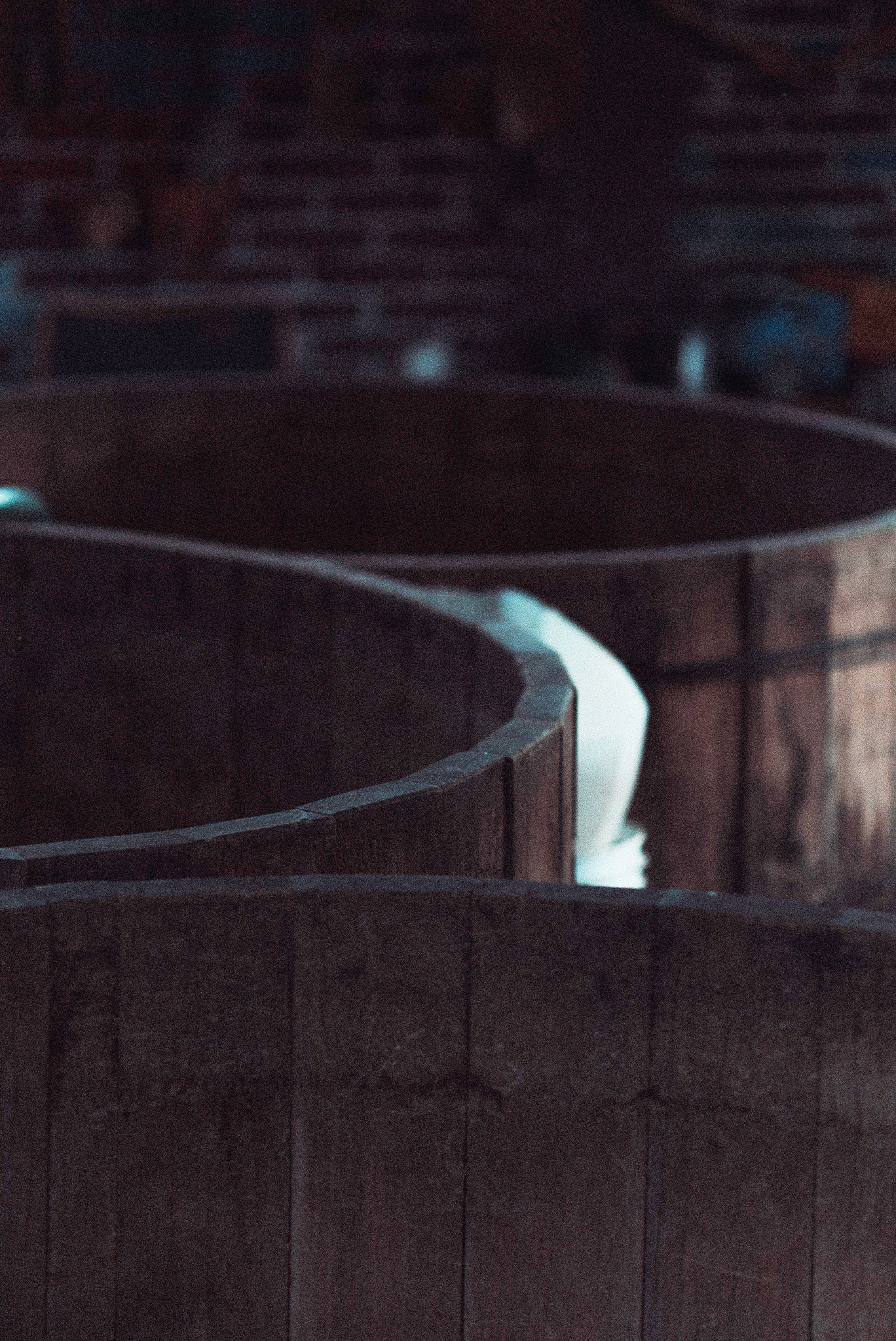 fermentation process