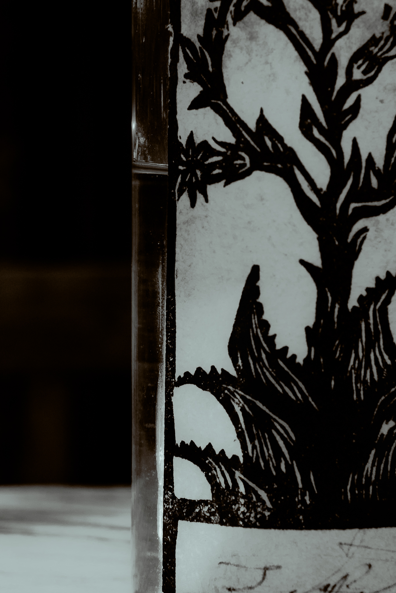 MOONSHIFT Mezcal